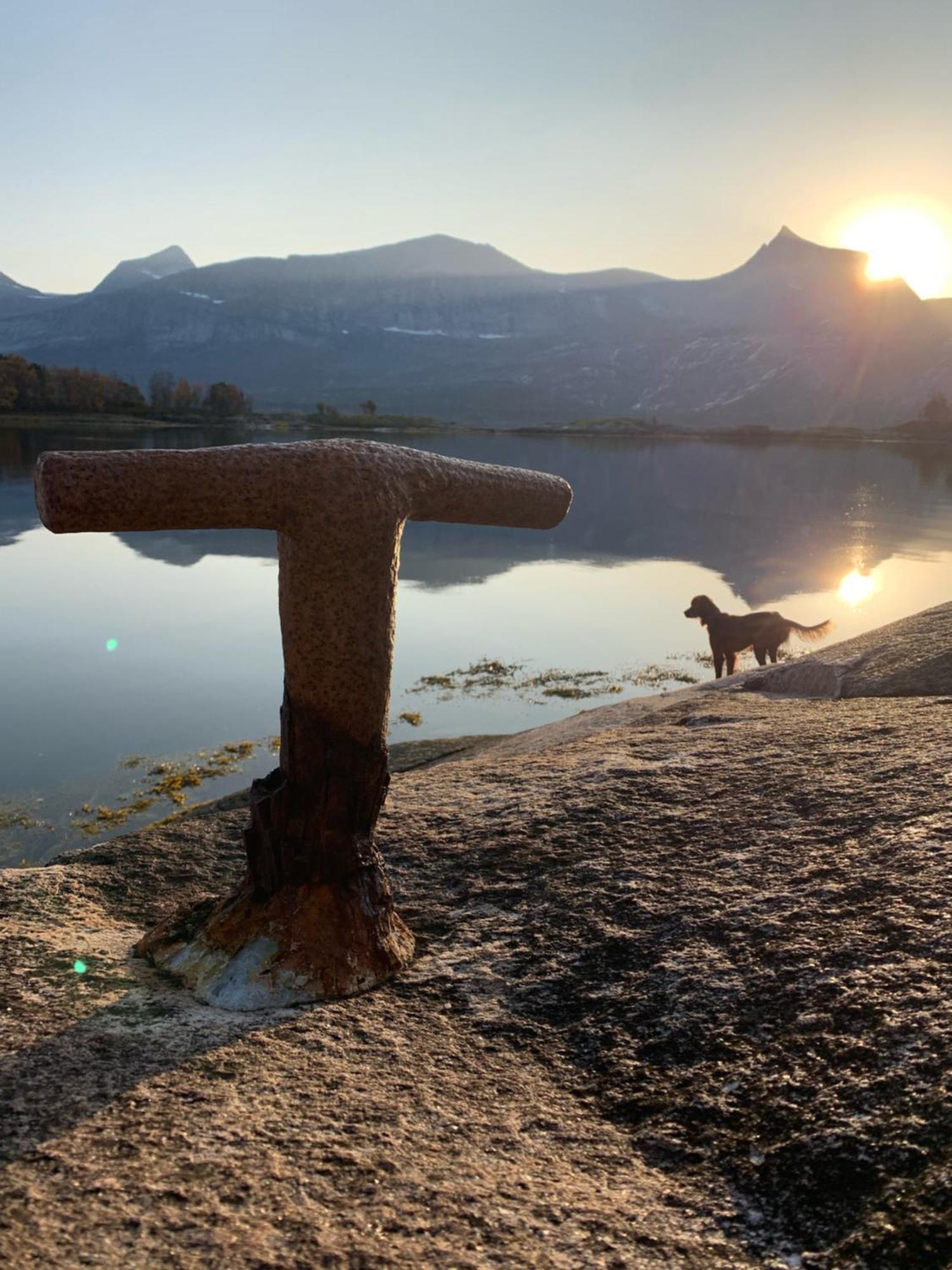 Efjord And Stetind Resort - Cabin Kobbernestinden Ballangen Eksteriør billede